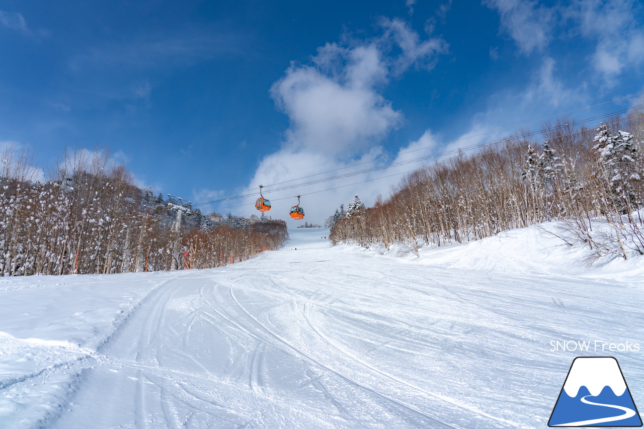 札幌国際スキー場｜３月の平日。粉雪コンディション、ゴンドラ＆リフト待ち無し、もちろん、ゲレンデも混雑無し。要するに、最高です(^_-)-☆